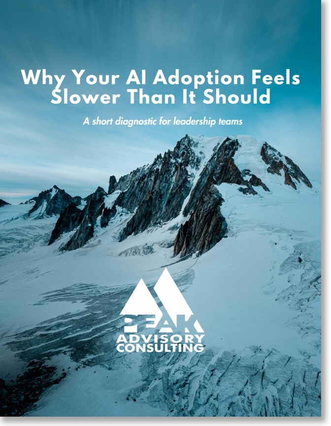 cover 2 - slow AI adoption