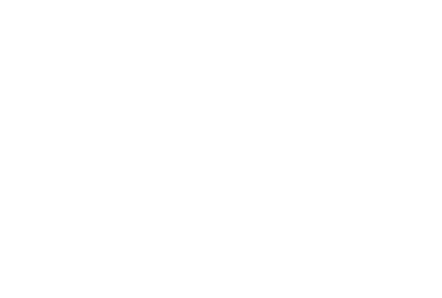 03 expert team